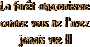 Image2.jpg (12300 octets)