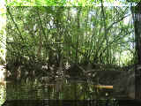 01060002.jpg (43035 octets)