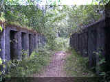 01300009.jpg (39674 octets)