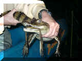 02010002.JPG (19946 octets)